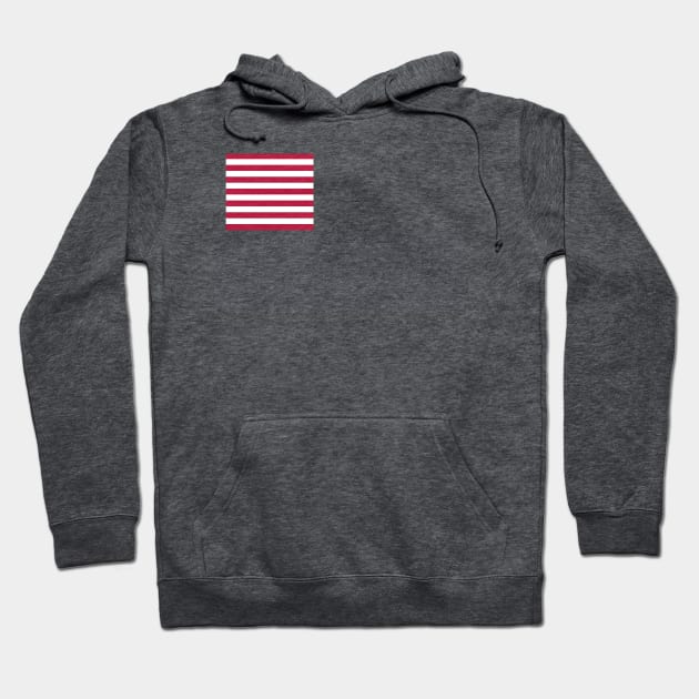 Dansey Flag Hoodie by American Revolution Podcast